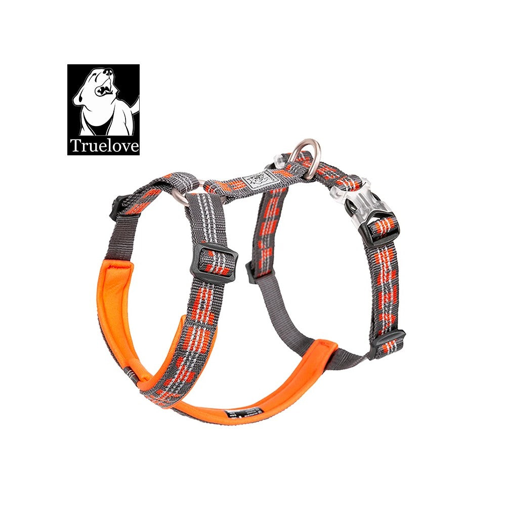 Best Pet Harness Vest for Dogs & Cats - Safe Outdoor Walking