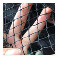 Heavy Duty Bird Netting for Garden & Crop Protection - Best Price