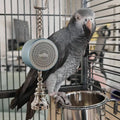 Best Interactive Talking Parrot Toy - Voice Training Bird Coach