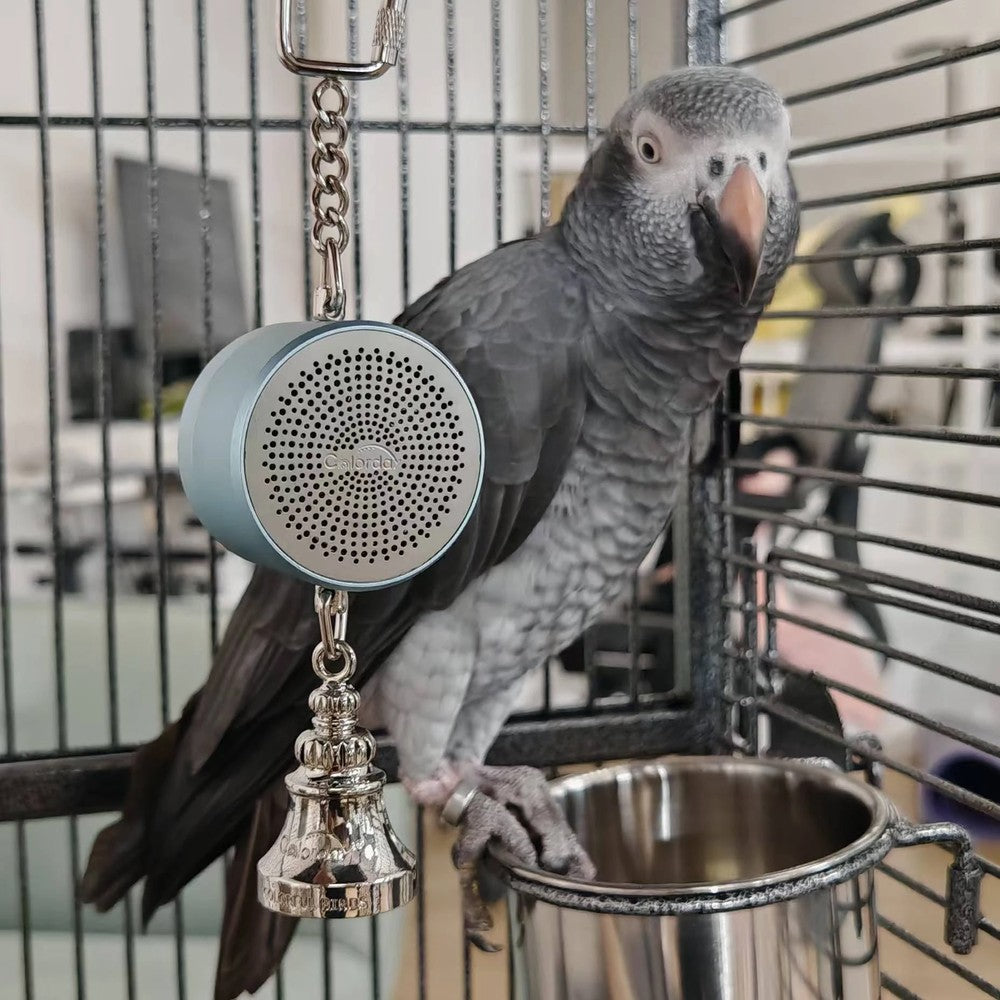 Best Interactive Talking Parrot Toy - Voice Training Bird Coach