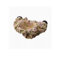 Best Magnetic Anemone Nest for Saltwater Aquariums