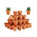 Best Small Terracotta Pots for Plants - 50 Mini Clay Pots 1.3"