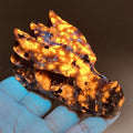 Best Natural Yooperlite Dragon Head Crystal - Hand Carved Reiki Stone