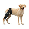 Best Dog Knee Brace for ACL Support - Adjustable Pet Leg Protector