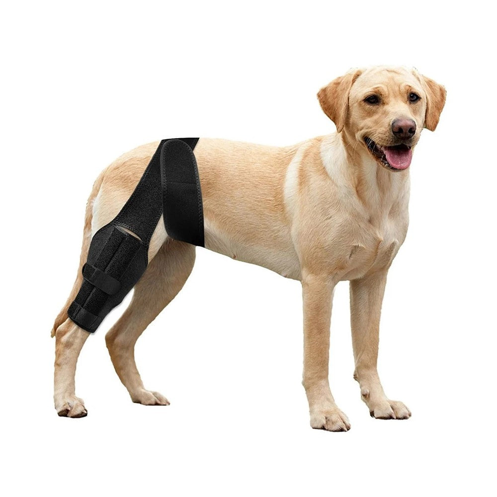 Best Dog Knee Brace for ACL Support - Adjustable Pet Leg Protector