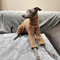 Best Winter Dog Coat - Warm Fleece Jacket for Small Medium Pets