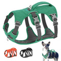 Best Reflective Dog Harness with Handle - Small & Large Dogs